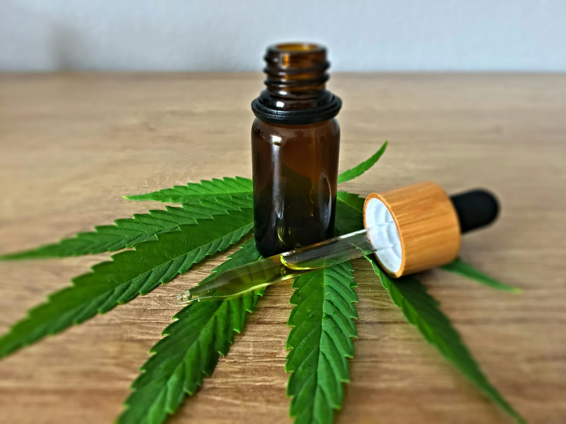 Illustration de l’article « CBD alimentaire et agriculture biologique : opportunité ou risque pour les professionnels du CHR en 2025 ? »