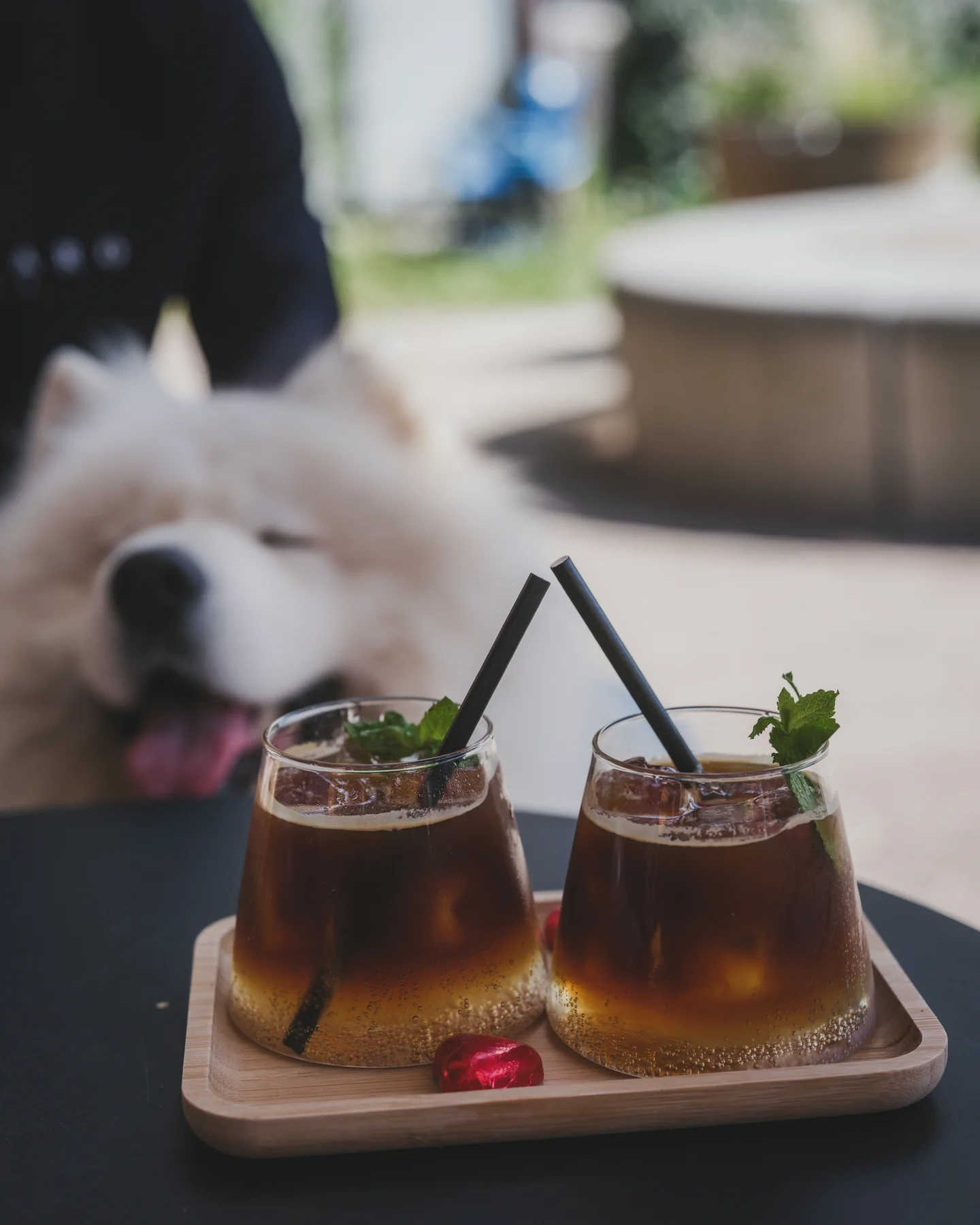 Illustration de l’article « Vacances avec son chien : pourquoi les CHR ont intérêt à repenser leur accueil dog-friendly »