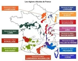 Illustration de l’article « Sauvons le vin avant qu’il ne disparaisse ! »