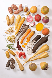 Légumes anciens en photo, incluant topinambour, panais et rutabaga, illustrant leur diversité et leur retour en cuisine professionnelle.