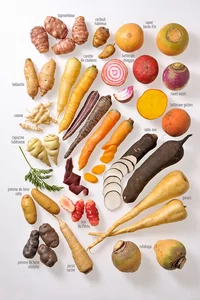 Légumes anciens en photo, incluant topinambour, panais et rutabaga, illustrant leur diversité et leur retour en cuisine professionnelle.